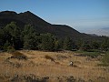 DSCN6713