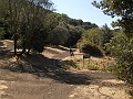 DSCN6719