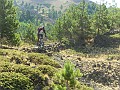 SDC17582