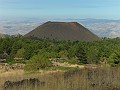 SDC17598