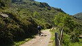 DSCN2991