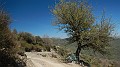 DSCN3001
