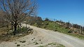 DSCN3005