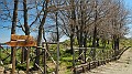 DSCN3008