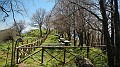 DSCN3010