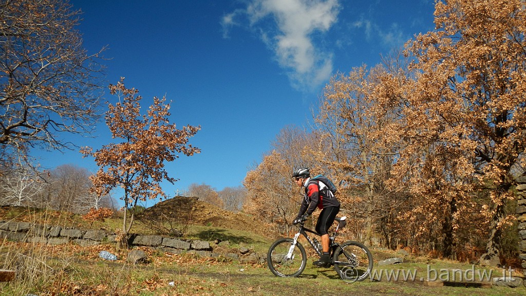 DSCN9859.JPG -                                