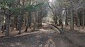 DSCN9853