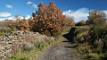 DSCN9876