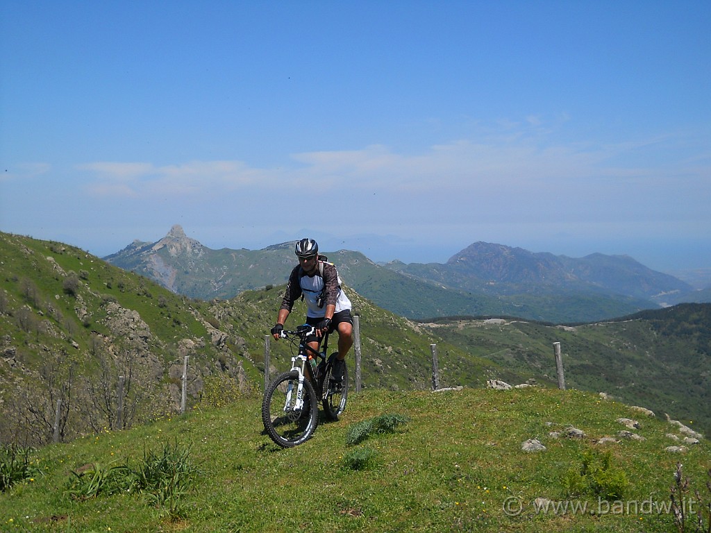 DSCN4709.JPG -           