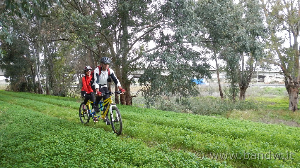 DSCN6134.jpg -                                