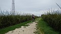 DSCN6111