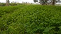 DSCN6139