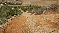 DSCN9331