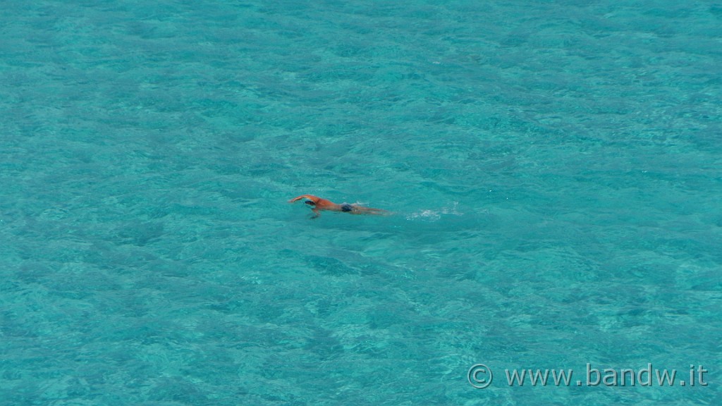 DSCN9436.JPG - ..............