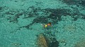 DSCN9394