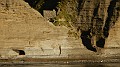 DSCN3525