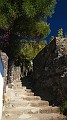 DSCN3572