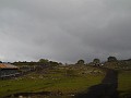 DSCN3005