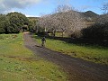 DSCN3015