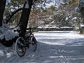DSCN2877