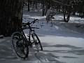 DSCN2884
