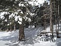DSCN2885