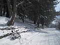 DSCN2886