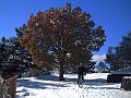 DSCN2903