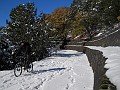 DSCN2904