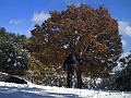 DSCN2909