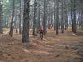 DSCN2387