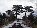 DSCN2431
