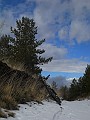 DSCN2438