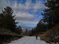 DSCN2443