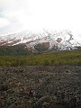 DSCN2463