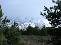 DSCN7320