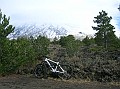 DSCN7324