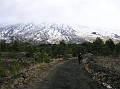 DSCN7331