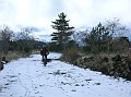 DSCN7342