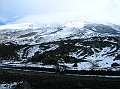 DSCN7356