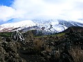 DSCN7368