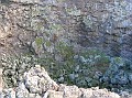 DSCN7373