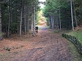 DSCN7399