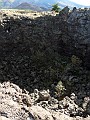 SDC17858
