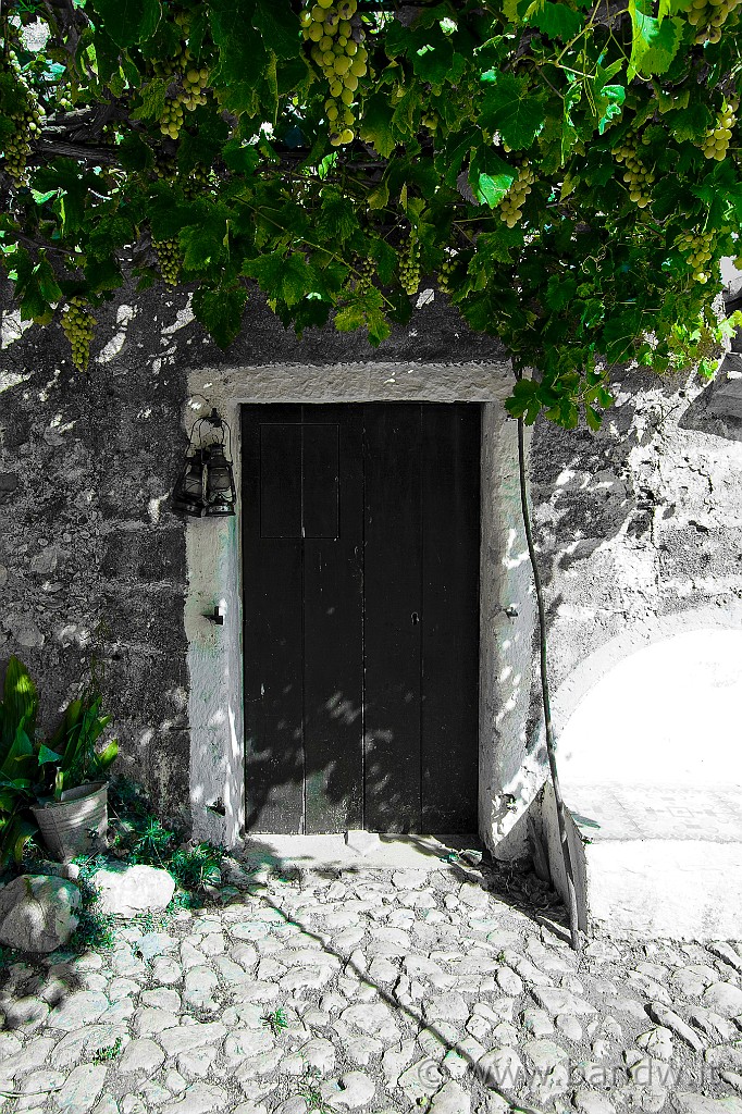 IMG_7091 copy.jpg