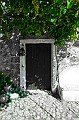 IMG_7091 copy