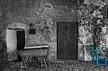 IMG_7101