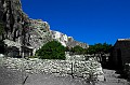 IMG_7103 copy