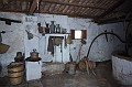IMG_7117