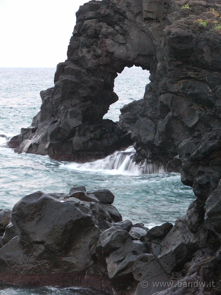 Mare Costa_012.JPG - Coreografie Naturali alla Scogliera